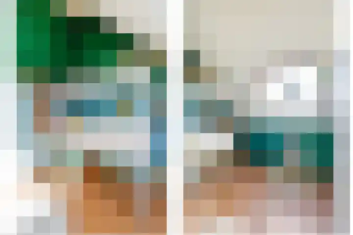 Ringdijk 86 Bemmel thumbnail 42