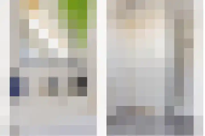 Ringdijk 86 Bemmel thumbnail 48