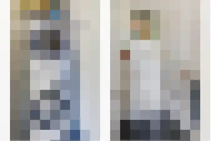 Ringdijk 86 Bemmel thumbnail 6