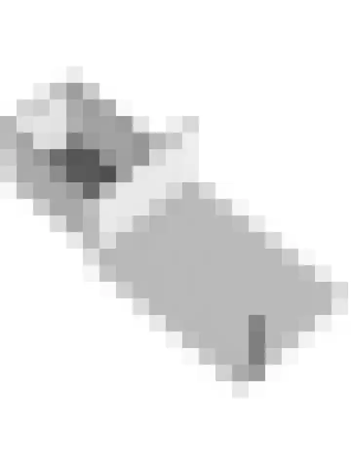 Ringdijk 86 Bemmel thumbnail 63