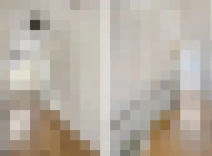 Ringdijk 96 Bemmel thumbnail 22