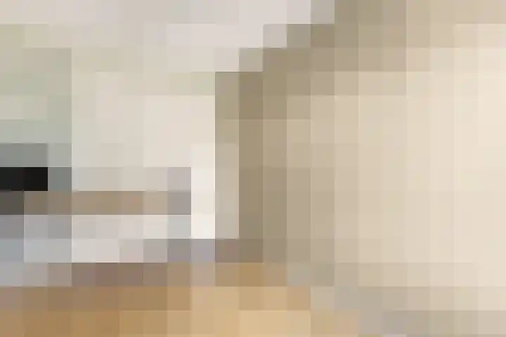 Ringdijk 96 Bemmel thumbnail 32