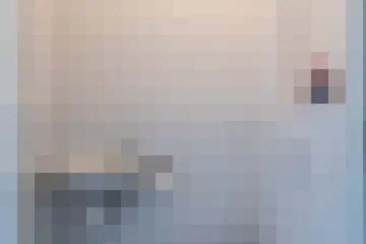 Ringelwikke 9 Heiloo thumbnail 10