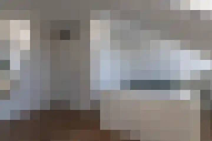 Ringelwikke 9 Heiloo thumbnail 13