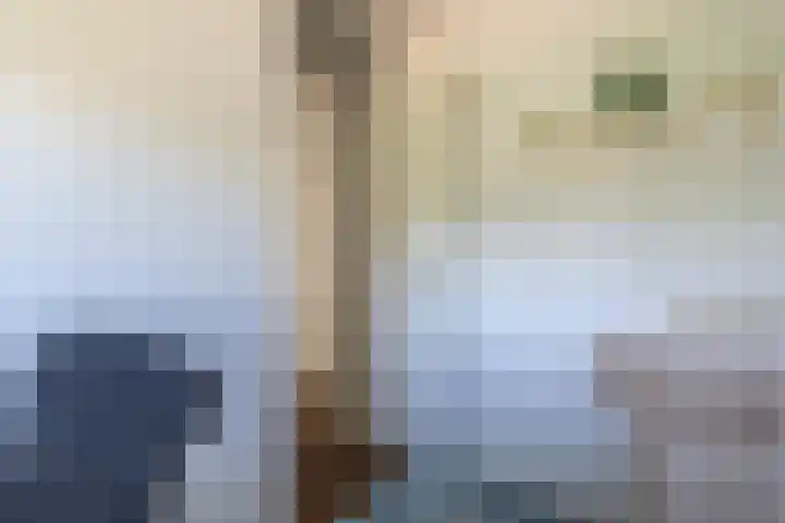 Ringelwikke 9 Heiloo thumbnail 15