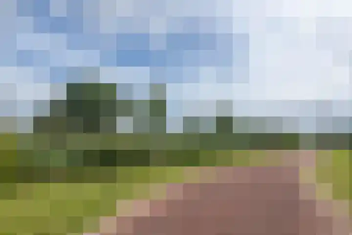 Ringelwikke 9 Heiloo thumbnail 23