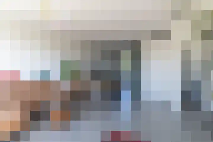 Ringelwikke 9 Heiloo thumbnail 5