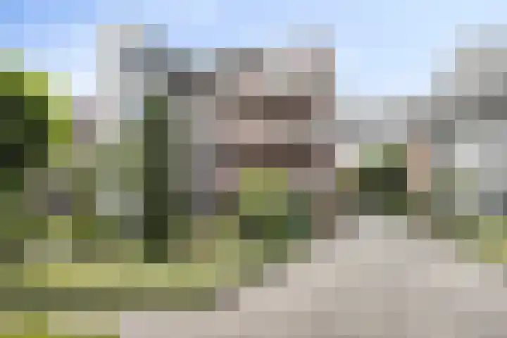 Ringfeartstrjitte 10 Wergea thumbnail 7