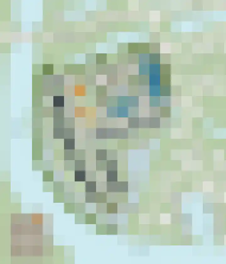 Ringfeartstrjitte 7 Wergea thumbnail 12