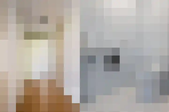 Ringhof 12 Hoensbroek thumbnail 8