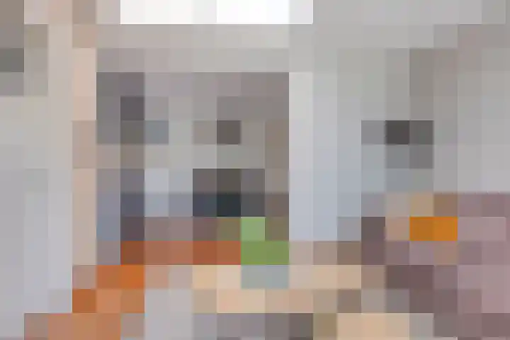 Ringkade 33 Beneden-Leeuwen thumbnail 11