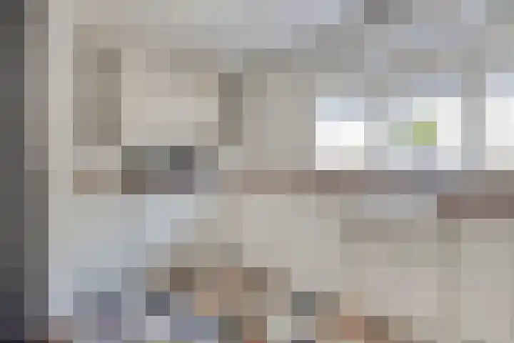 Ringkade 33 Beneden-Leeuwen thumbnail 14
