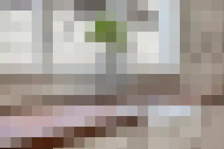 Ringkade 33 Beneden-Leeuwen thumbnail 15