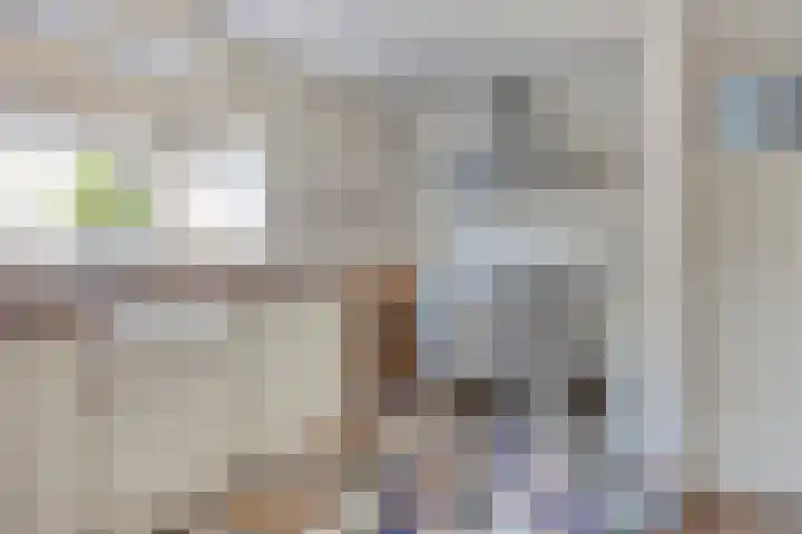 Ringkade 33 Beneden-Leeuwen thumbnail 16