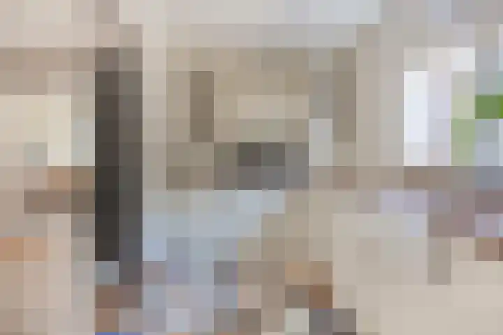 Ringkade 33 Beneden-Leeuwen thumbnail 17