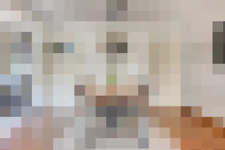 Ringkade 33 Beneden-Leeuwen thumbnail 19