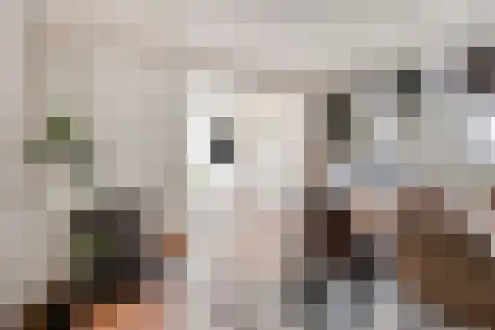 Ringkade 33 Beneden-Leeuwen thumbnail 20