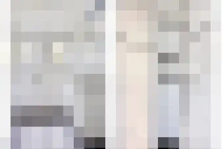Ringkade 33 Beneden-Leeuwen thumbnail 23