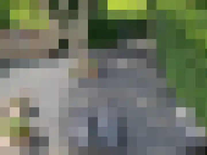 Ringkade 33 Beneden-Leeuwen thumbnail 32