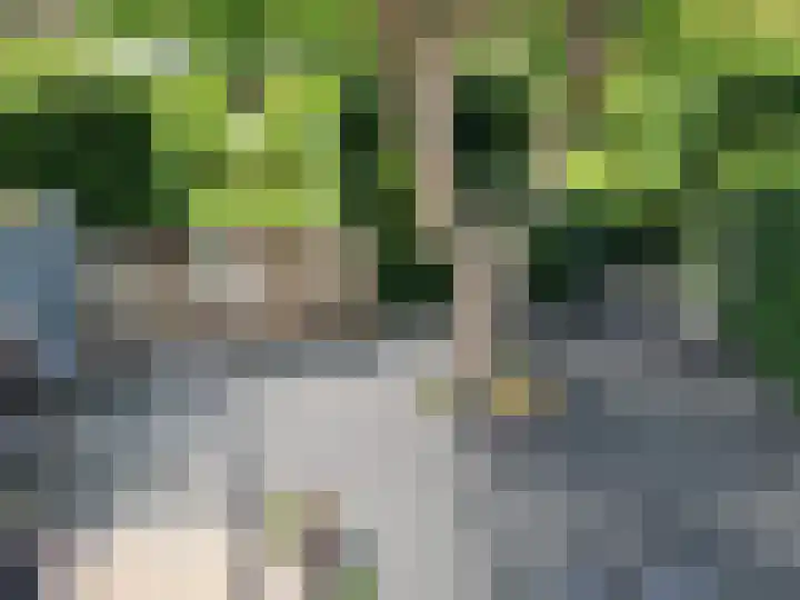 Ringkade 33 Beneden-Leeuwen thumbnail 34