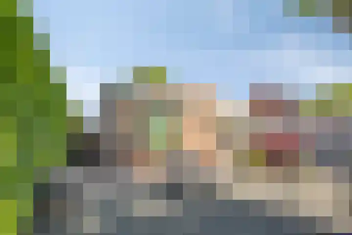 Ringkade 33 Beneden-Leeuwen thumbnail 4
