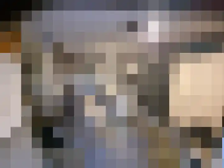 Ringkade 33 Beneden-Leeuwen thumbnail 41