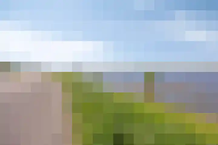 Ringkade 33 Beneden-Leeuwen thumbnail 44