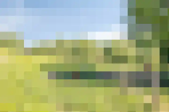 Ringkade 33 Beneden-Leeuwen thumbnail 45