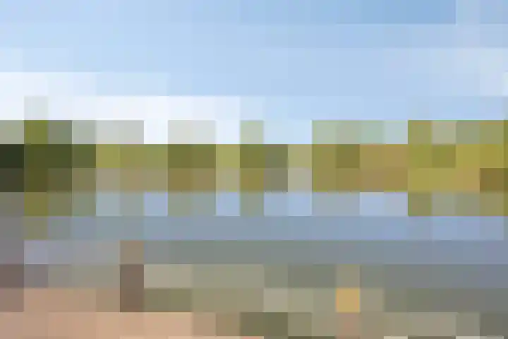 Ringkade 33 Beneden-Leeuwen thumbnail 46