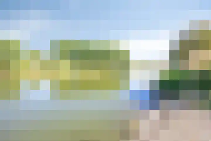 Ringkade 33 Beneden-Leeuwen thumbnail 47