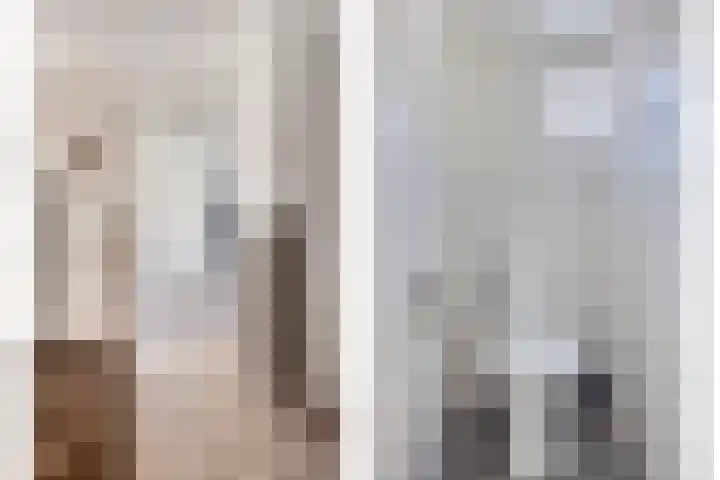 Ringkade 33 Beneden-Leeuwen thumbnail 8