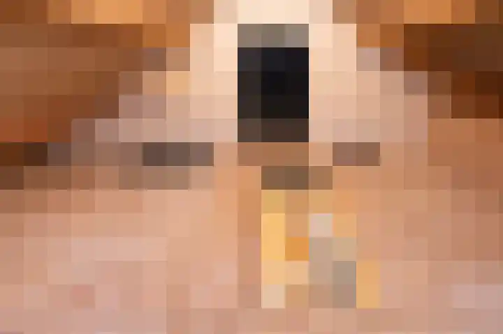 Ringlaan 64 Eerbeek thumbnail 25