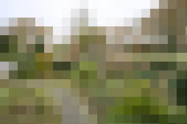 Ringlaan 64 Eerbeek thumbnail 31