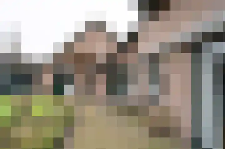 Ringlaan 64 Eerbeek thumbnail 35