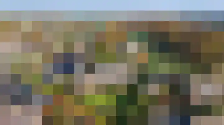 Ringlaan 64 Eerbeek thumbnail 37