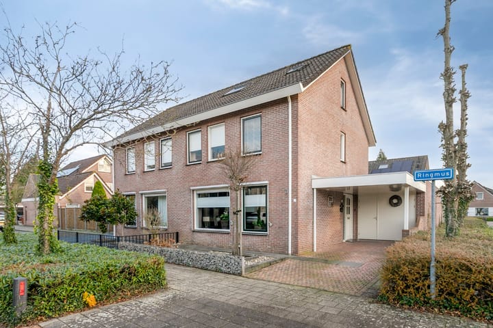 Ringmus 1 in IJsselmuiden foto
