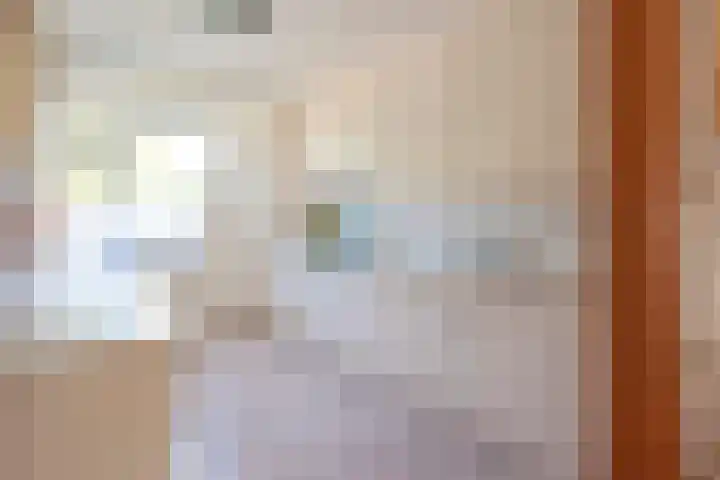 Ringmus 20 Heemskerk thumbnail 10