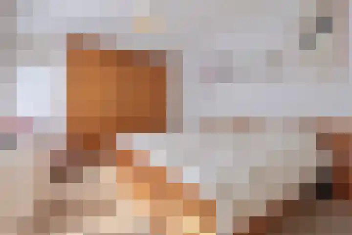 Ringmus 20 Heemskerk thumbnail 12