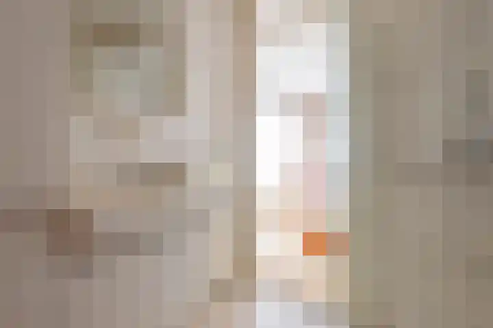 Ringmus 20 Heemskerk thumbnail 15