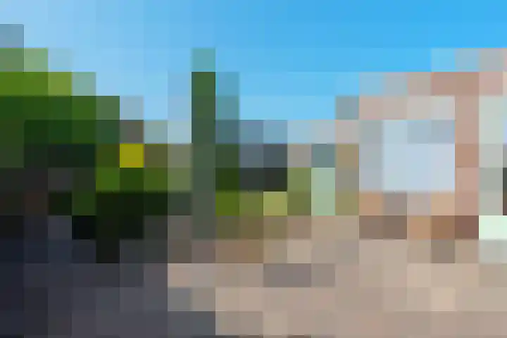 Ringmus 20 Heemskerk thumbnail 16