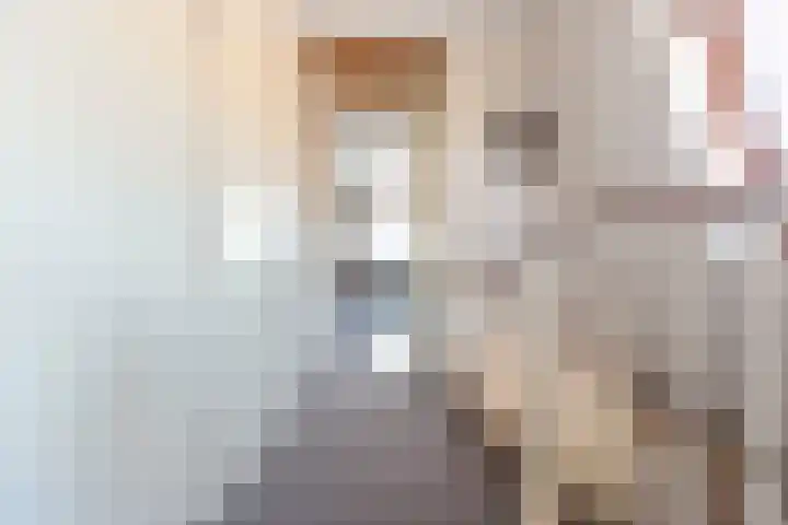 Ringmus 20 Heemskerk thumbnail 21