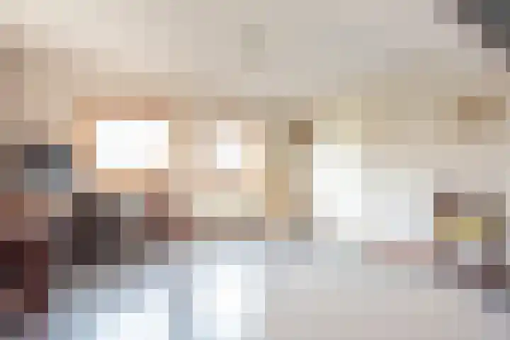 Ringmus 20 Heemskerk thumbnail 23