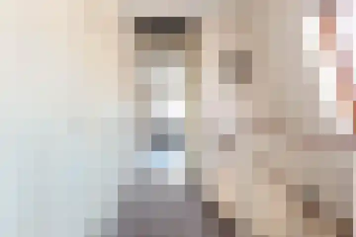 Ringmus 20 Heemskerk thumbnail 30