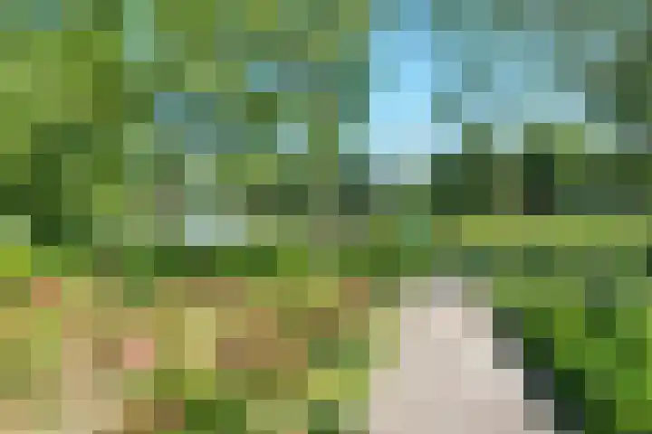 Ringmus 20 Heemskerk thumbnail 33
