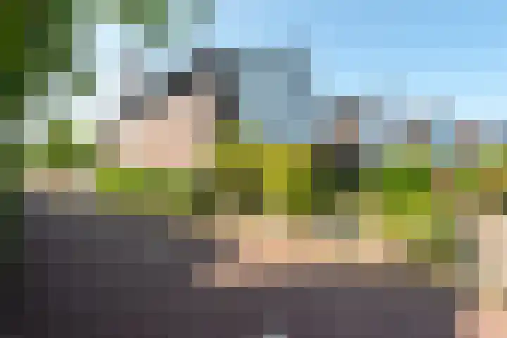 Ringmus 20 Heemskerk thumbnail 35