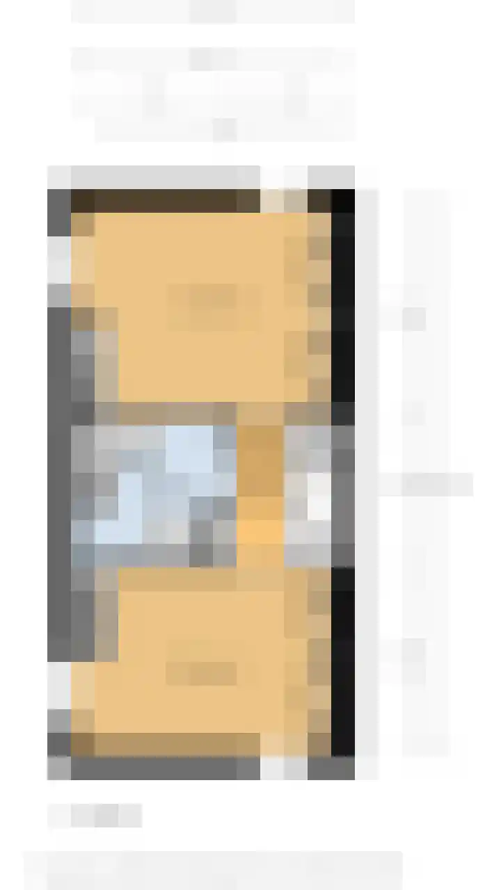 Ringmus 20 Heemskerk thumbnail 37