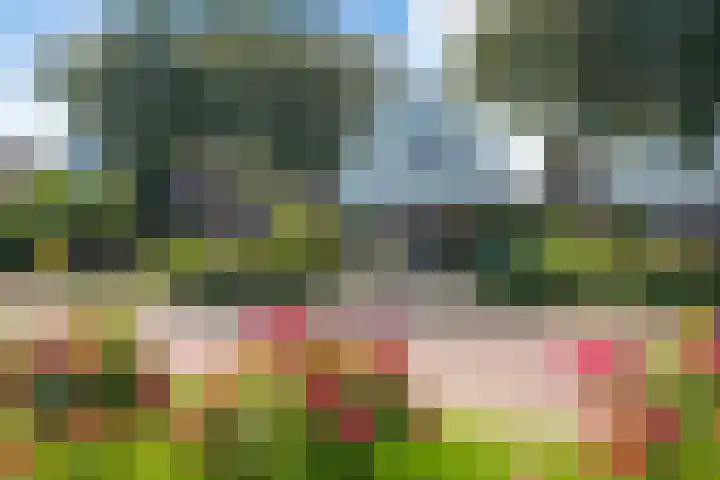 Ringmus 20 Heemskerk thumbnail 39
