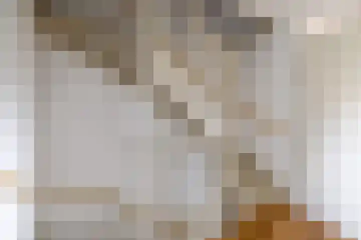 Ringmus 47 Olst thumbnail 12