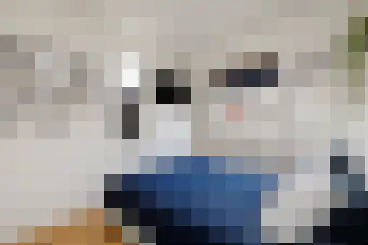 Ringmus 47 Olst thumbnail 13