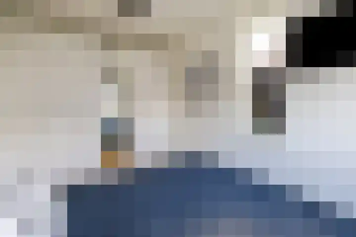 Ringmus 47 Olst thumbnail 14